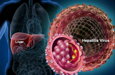 hepatit b bulaşma yolu